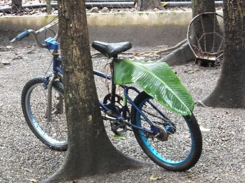 A simple &quot;local materials&quot; bicycle rain fender