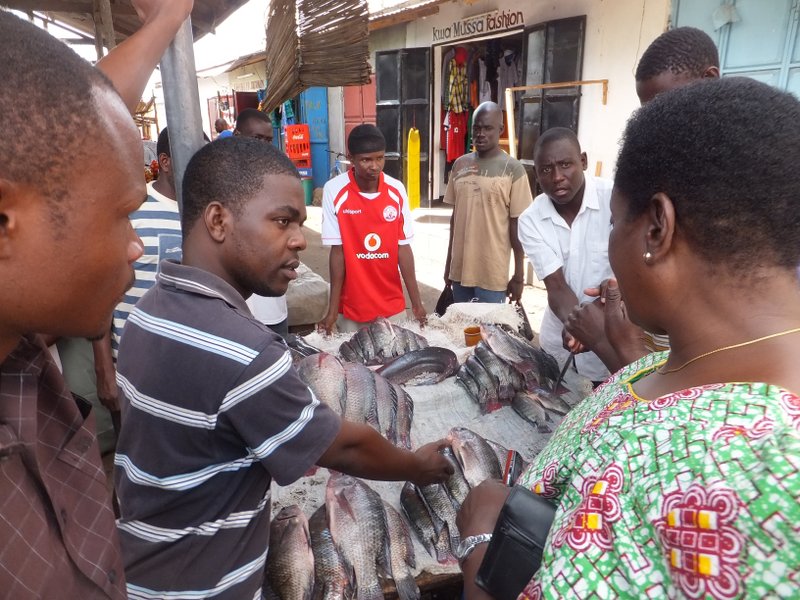 Roadside Fish Market