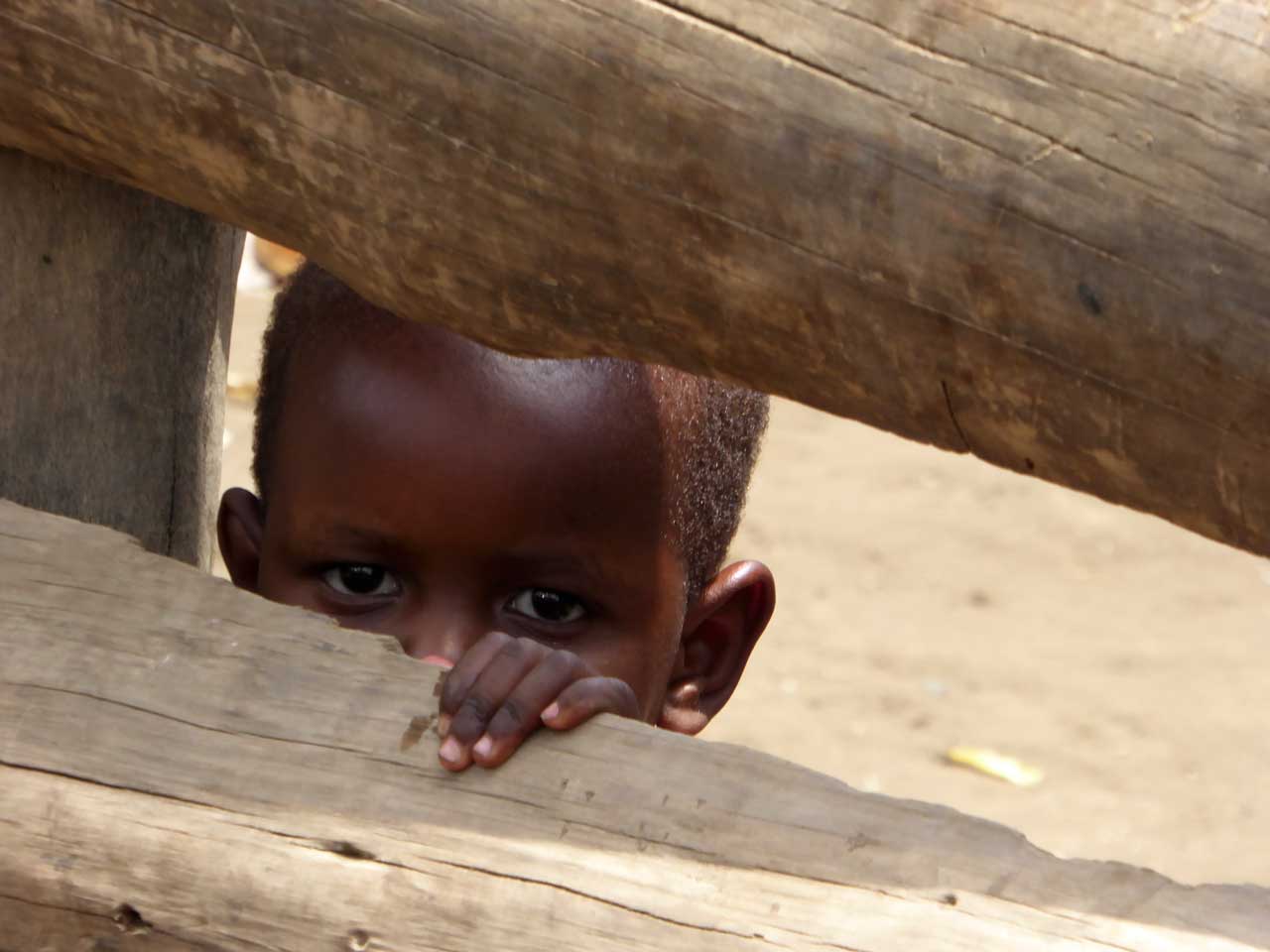 Curious young boy behind wooden fence