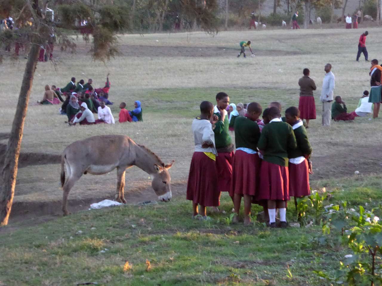 Students gather in the late afternoon at Mwandet